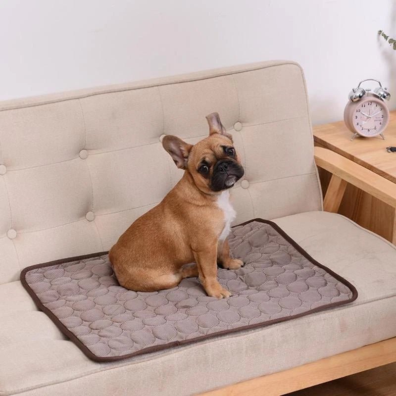 Summer Cooling Pad Mat for Dogs - Zentoracart