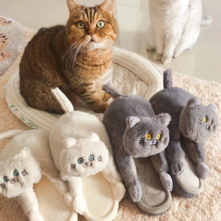 Cat Slippers - Zentoracart