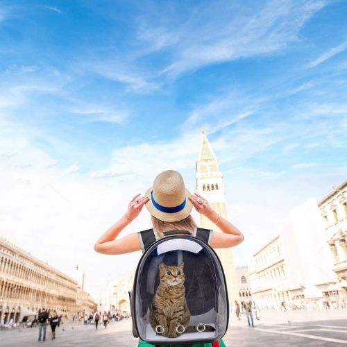 Cat Carrier Backpack - Zentoracart