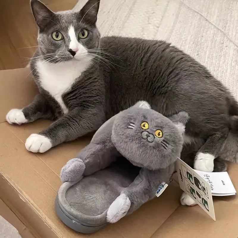 Cat Slippers - Zentoracart
